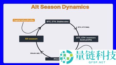 比特币主导率与山寨季全解析：加密市场资金轮动终极指南
