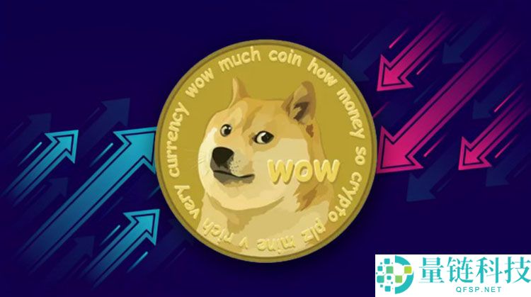 谁拥有狗狗币 (DOGE)？揭秘创始人、巨鲸持仓与未来掌控者