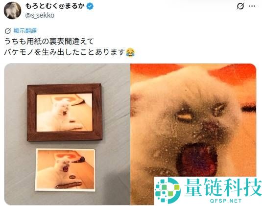 日本娃妈打印出恐怖照片真相:网友神评“相纸塞反了”引热议