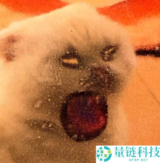 日本娃妈打印出恐怖照片真相:网友神评“相纸塞反了”引热议