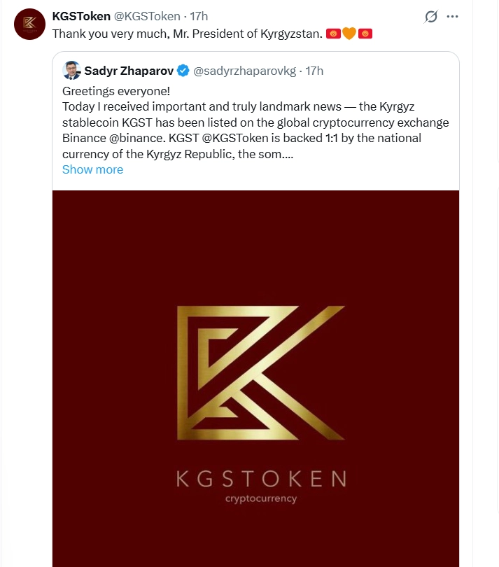 KGST 币是什么?深度解析代币经济与投资价值,现在值得入手吗?