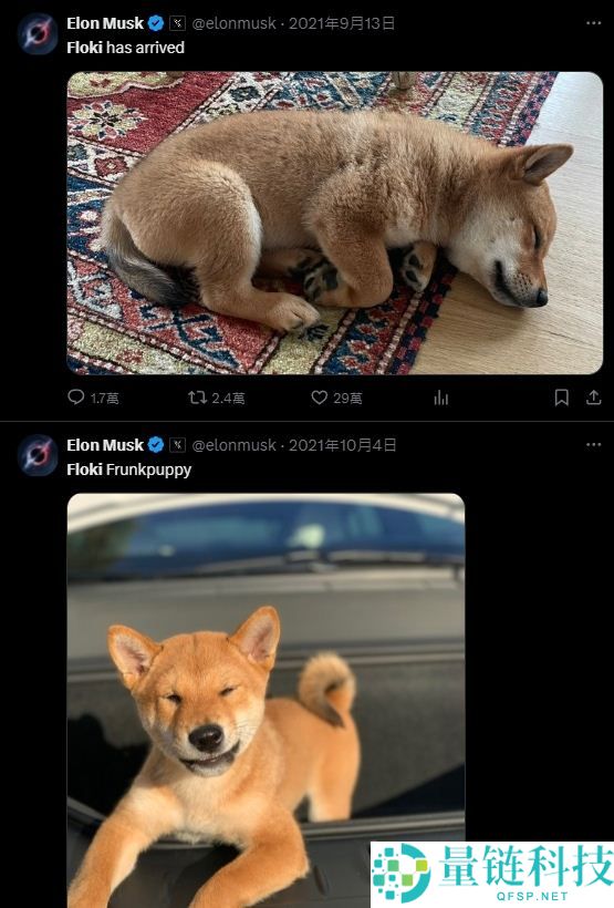 FLOKI 币价格深度解析:2025 年走势预测与最佳投资策略