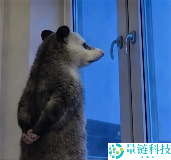 负鼠成灭蟒神器？科学家利用全网爆火负鼠对抗入侵缅甸蟒
