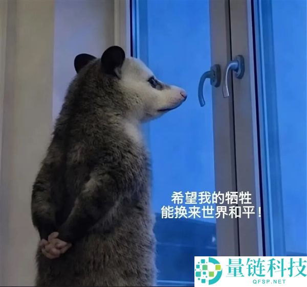 负鼠成灭蟒神器？科学家利用全网爆火负鼠对抗入侵缅甸蟒