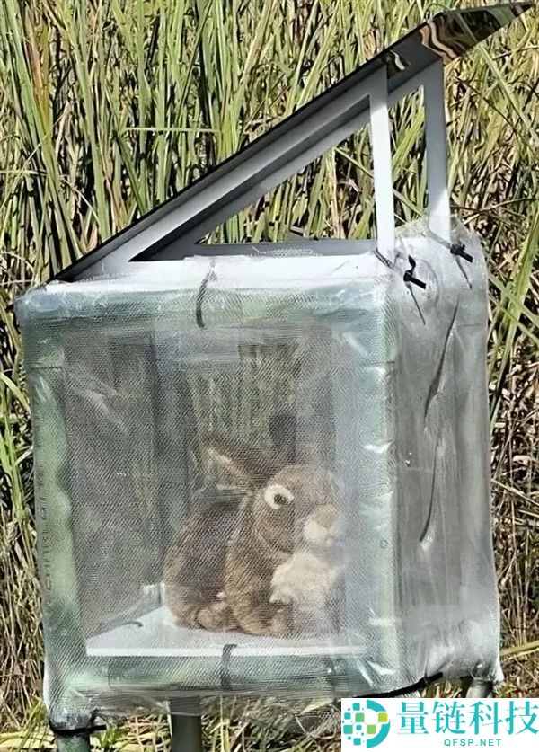 负鼠成灭蟒神器？科学家利用全网爆火负鼠对抗入侵缅甸蟒