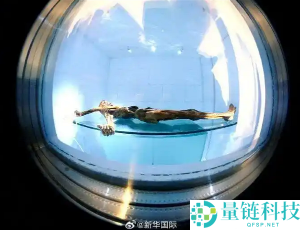 5300年冰人奥茨遗骸中的微生物仍具活性：研究揭示令人担忧的发现