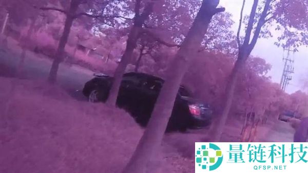 车主为省泊车费将车停河畔一周，意外被当废铁卖掉获2500元事件解析