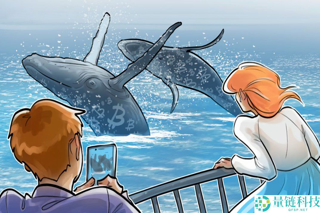 Bitfinex 巨鲸看涨比特币至 2026 年：本周 BTC 五大重磅新闻