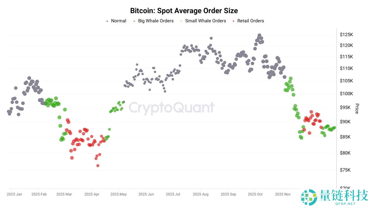 Bitfinex 巨鲸看涨比特币至 2026 年：本周 BTC 五大重磅新闻