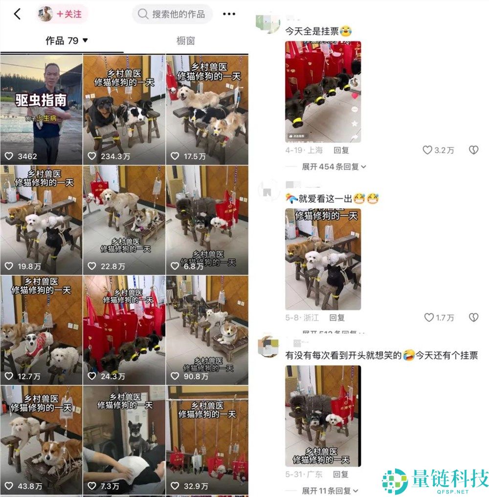 几块钱看猫狗病引爆热潮，“兽医界华佗”快速增长到500万粉丝
