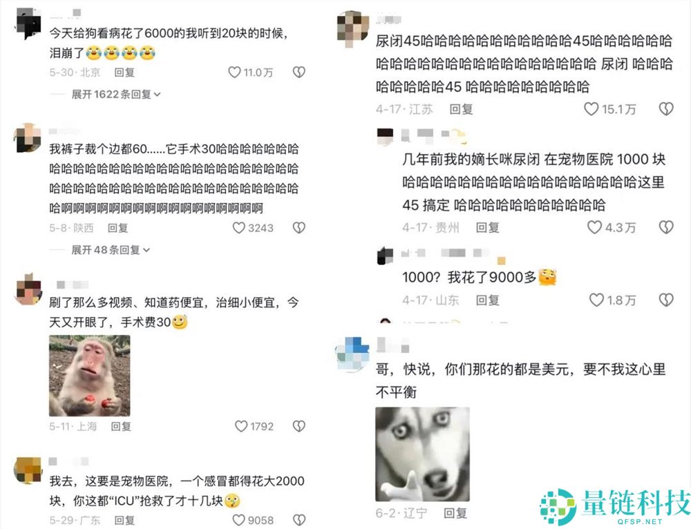 几块钱看猫狗病引爆热潮，“兽医界华佗”快速增长到500万粉丝