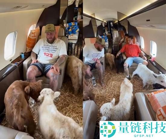 美国拥有2000万粉丝的博主私人飞机携牛出行引热议，网友批评其不环保