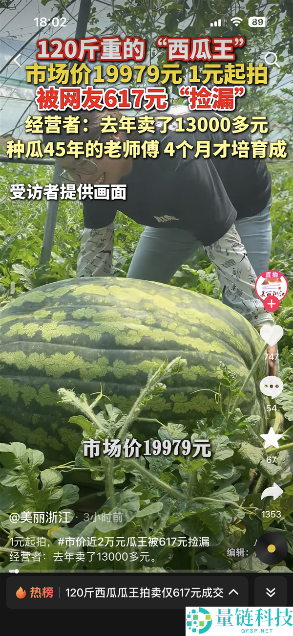 120斤西瓜瓜王拍卖仅617元，市场价1.99万，去年同期成交1.3万