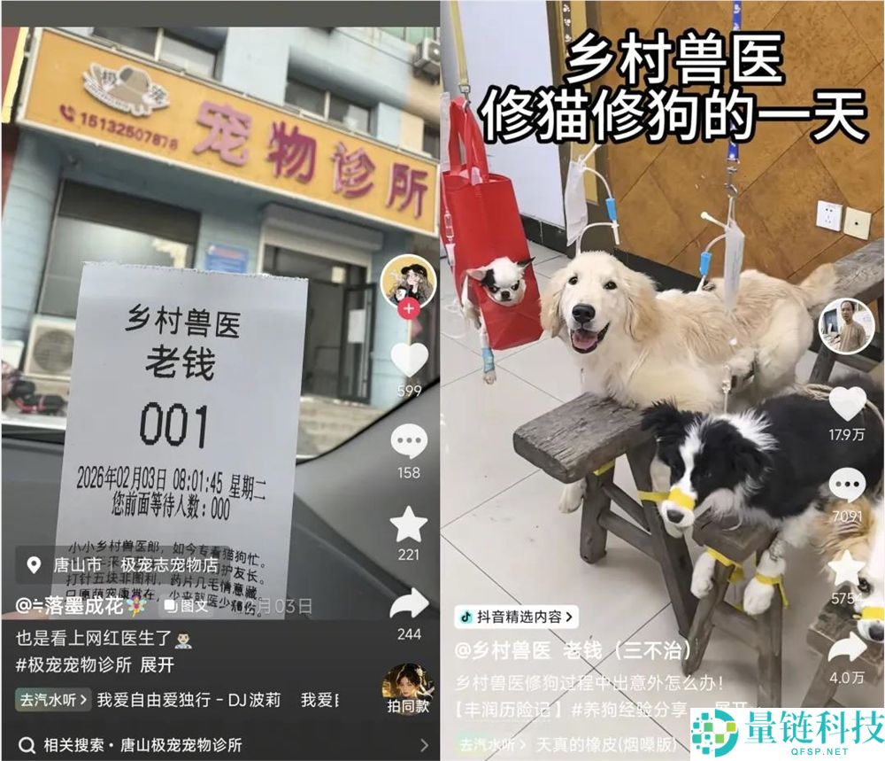 年轻人拒绝给猫狗看病，村庄兽医一夜成名获500万粉丝