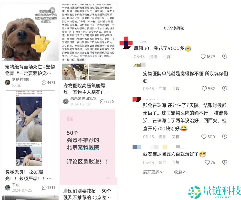 年轻人拒绝给猫狗看病，村庄兽医一夜成名获500万粉丝