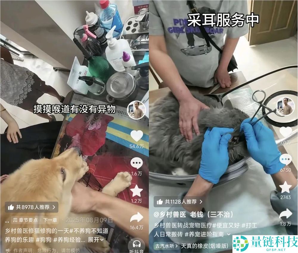 年轻人拒绝给猫狗看病，村庄兽医一夜成名获500万粉丝