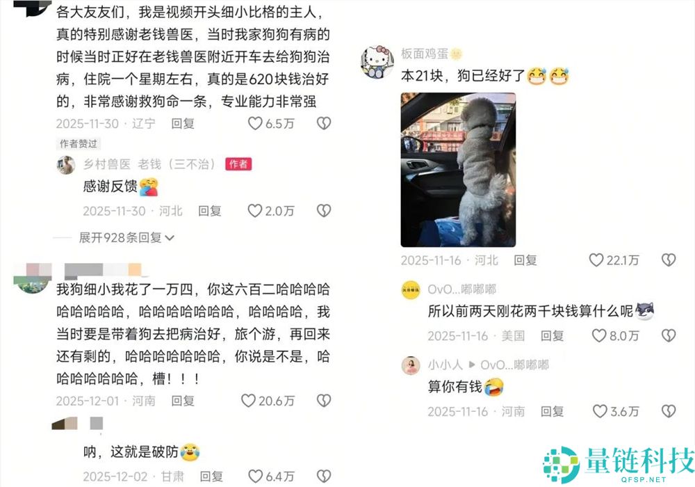 年轻人拒绝给猫狗看病，村庄兽医一夜成名获500万粉丝