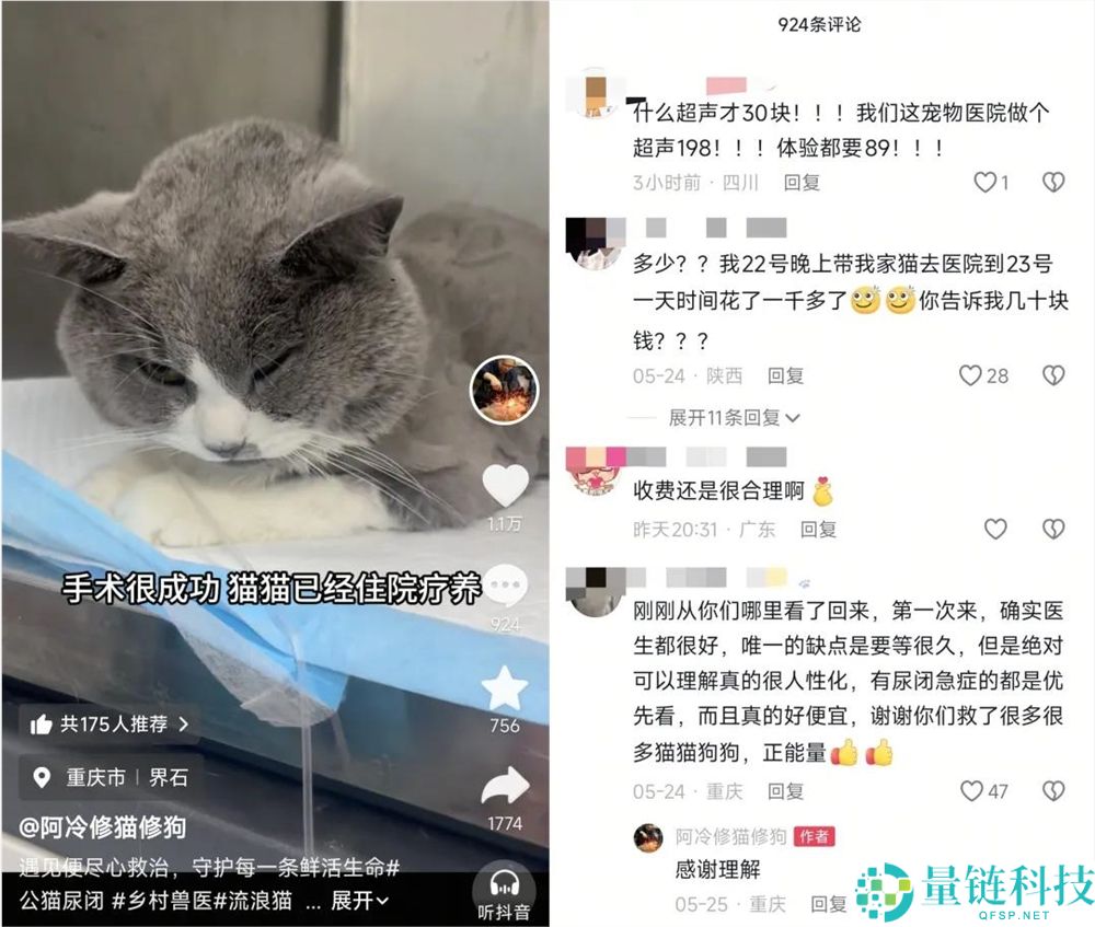 年轻人拒绝给猫狗看病，村庄兽医一夜成名获500万粉丝