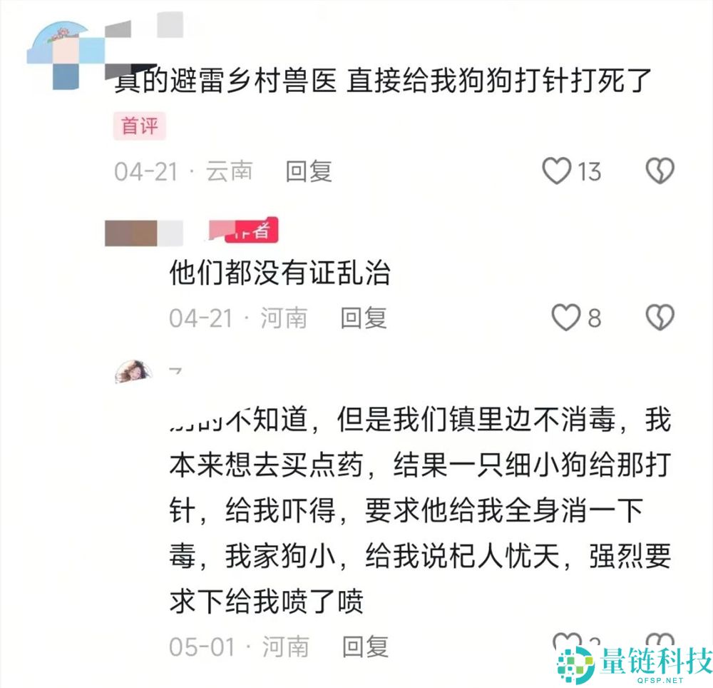 年轻人拒绝给猫狗看病，村庄兽医一夜成名获500万粉丝