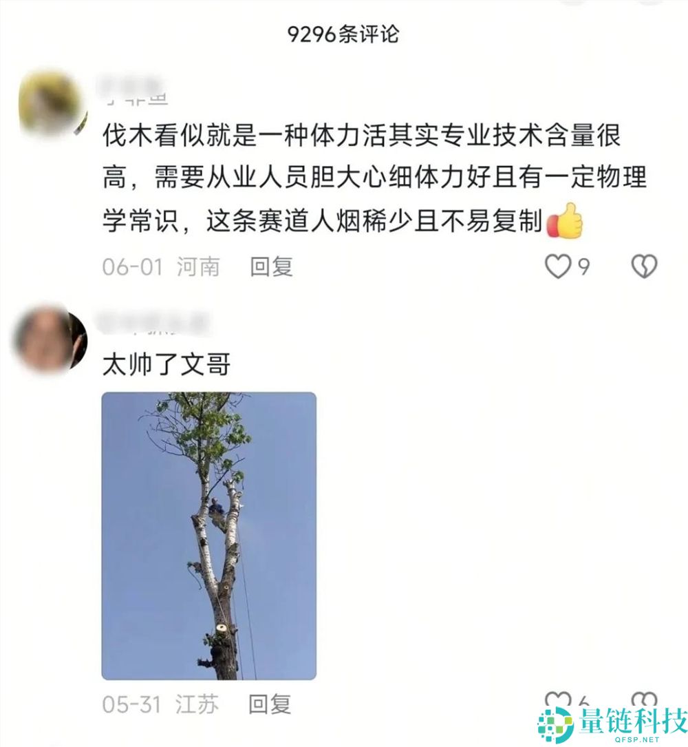 “抖音新晋顶流：修驴蹄、修锅后的‘砍树’热潮”