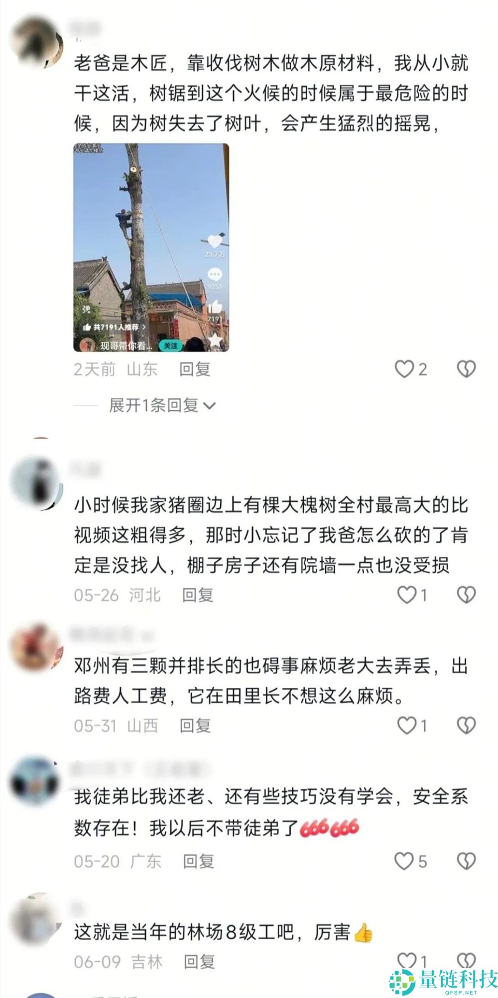 “抖音新晋顶流：修驴蹄、修锅后的‘砍树’热潮”