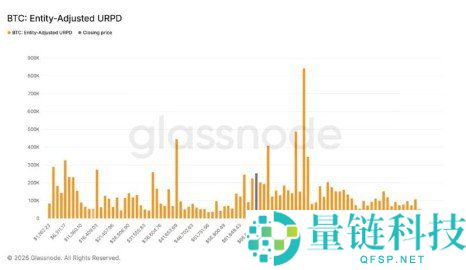 比特币狂潮来袭：巨鲸与散户10天内囤积超25万枚币