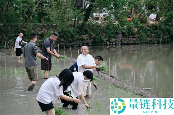 水田插秧后，马云低调访问麻省理工与哈佛大学
