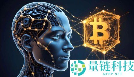 2024年11-12月加密货币预售项目回顾与投资策略指南