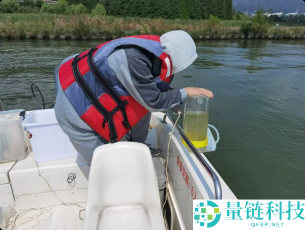 清华大学揭示蓝藻倏忽致死之谜及其原因分析
