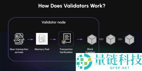 加密货币验证者（Validator）详解：定义及工作原理解析