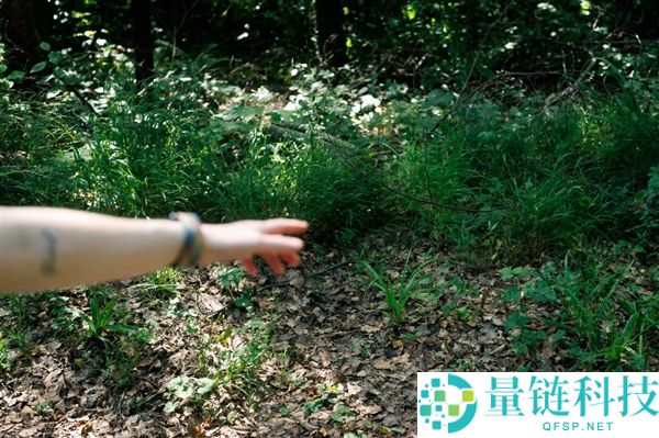 法国警方请求美国数据库协助破案