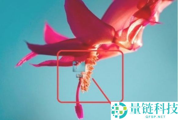 画图3D如何使用