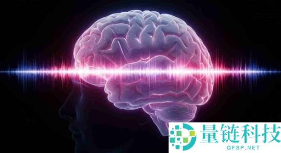 日本医院错误切除患者脑部肿瘤，院方致歉并暂停观察
