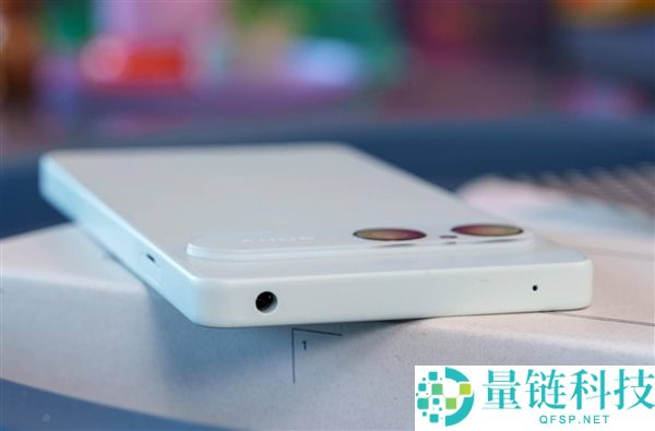 索尼Xperia 10 VIII发布:6.1英寸无孔屏与SD卡扩展,售价超5000元