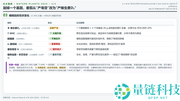 人类创新番茄品种 助你轻松获取维生素D