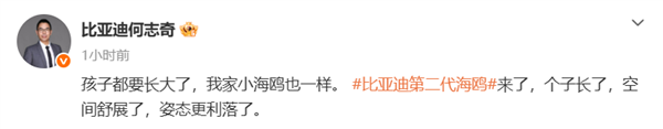 比亚迪第二代海鸥官宣：尺寸大幅提升，外观更加动感