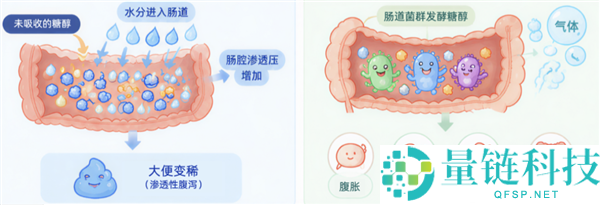 月饼的神秘反应:为何有些人吃后变成“放射兵士”?