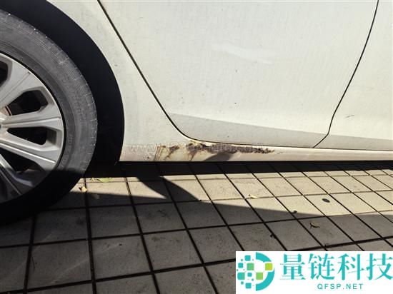 长安福特福睿斯车门侧栏锈蚀严重成通病,车主一致赞扬解决方案