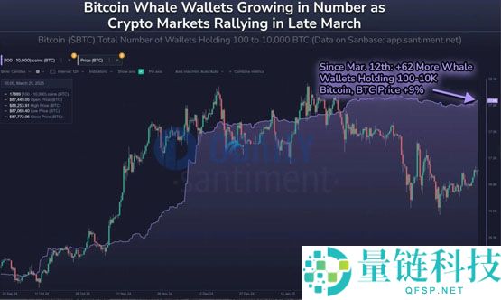 Santiment分析：比特币巨鲸开始重新累积BTC！山寨季无法到来是meme币影响？