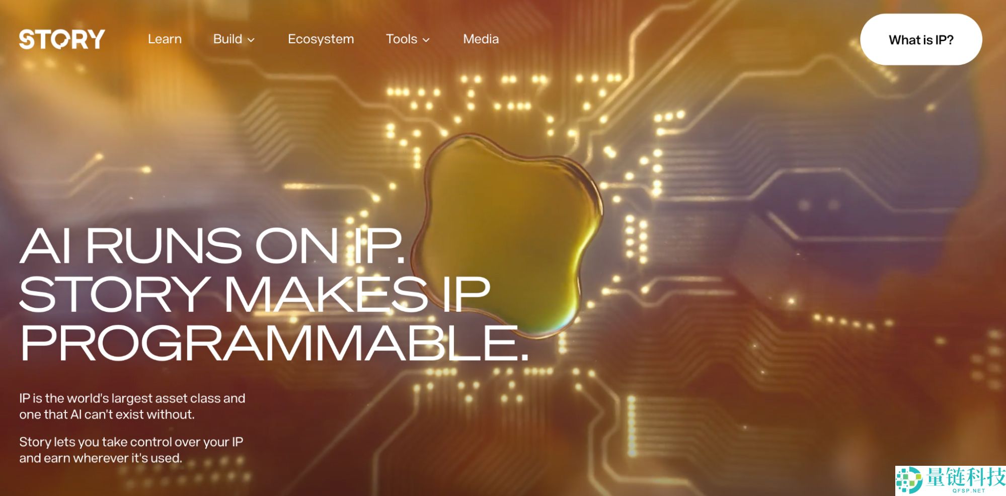 2025年 Top 20 加密空投，一文盘点