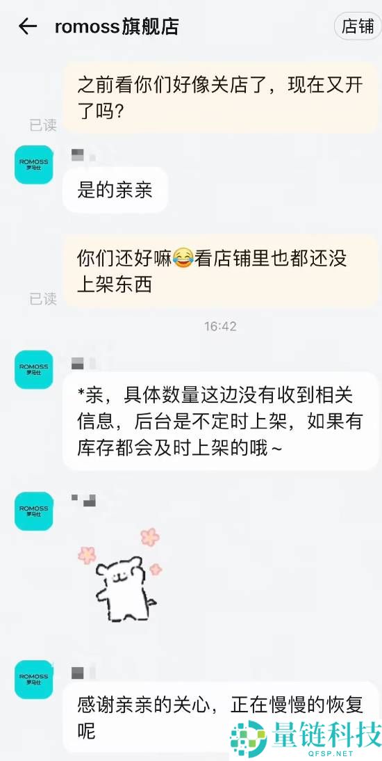 罗马仕