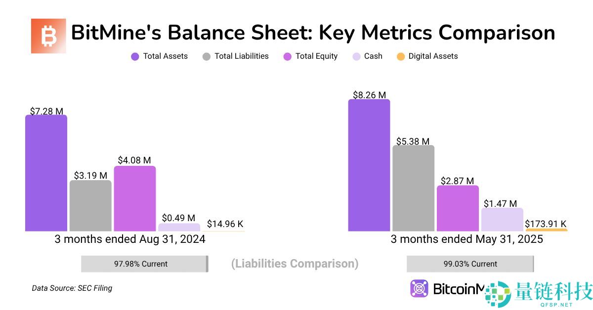 BitMine 股价 24 小时内飙升 700%