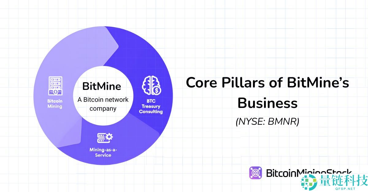 BitMine 股价 24 小时内飙升 700%