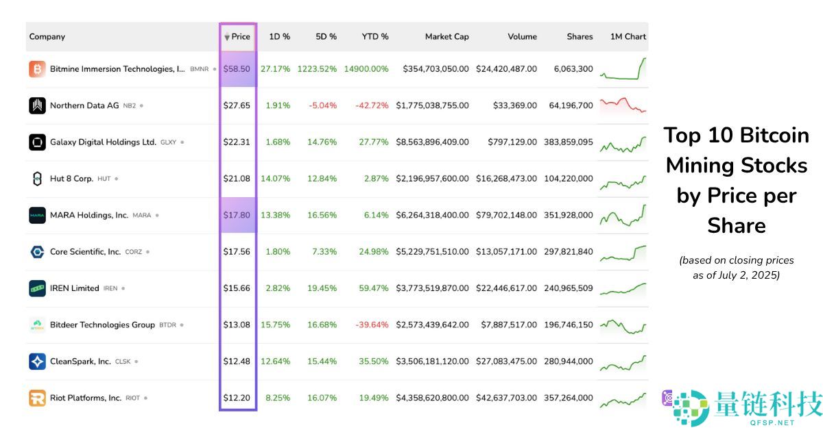 BitMine 股价 24 小时内飙升 700%