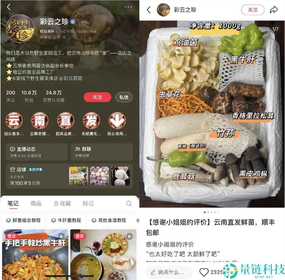 小红书一级入口更新：上亿95后在“市集”挑好货