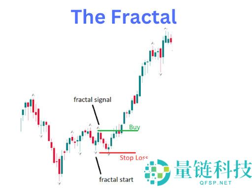 比尔·威廉姆斯是谁，为什么他的指标很重要？比尔·威廉姆斯的关键交易指标有哪些？