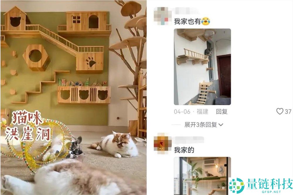 应战做100个“猫”房子,90后小鲁班若何获赞2000万？