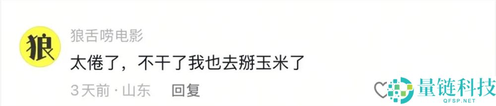 走亲戚、掰玉米获赞200万,@毒语片子 凭啥火?