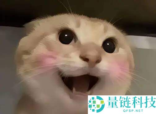 七大中文Meme币是哪些？谁有机会上线币安主站？一文详解