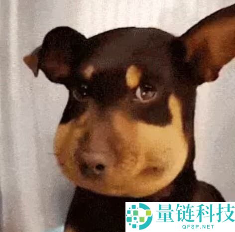 七大中文Meme币是哪些？谁有机会上线币安主站？一文详解